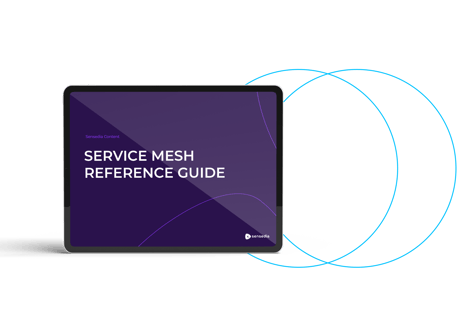 comm_mockup_service_mesh_EN_PNG